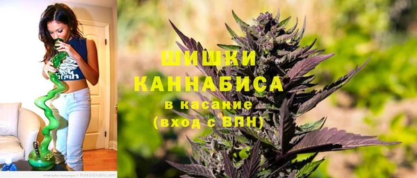 первитин Новозыбков