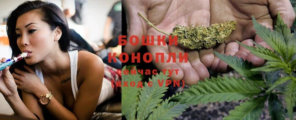 первитин Новозыбков